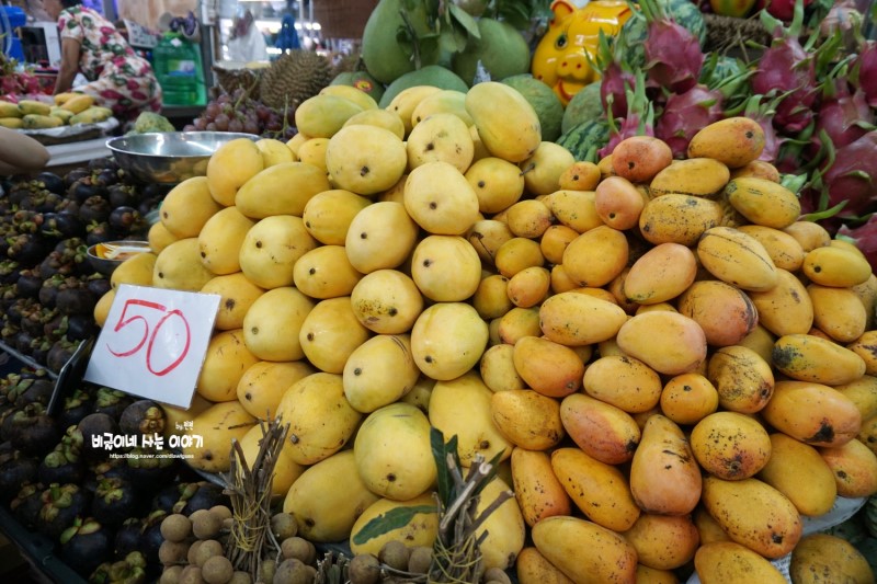 베트남 다낭 과일 구매는 한시장, 망고 No 애플망고&망고스틴 Ok : 네이버 블로그