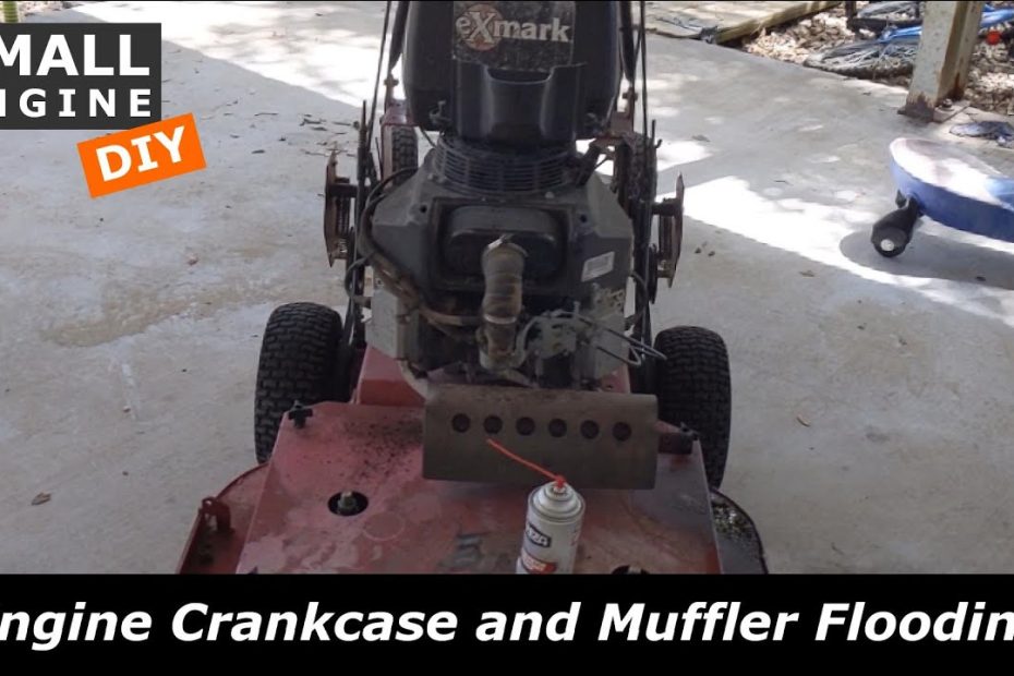 Engine Crankcase And Muffler Flooded With Gas - Youtube